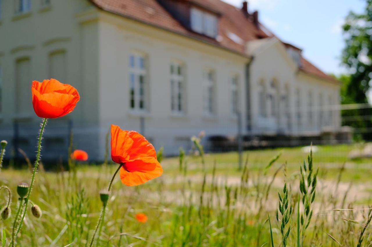 Gutshaus Fewo Luebeck Dassow Buitenkant foto